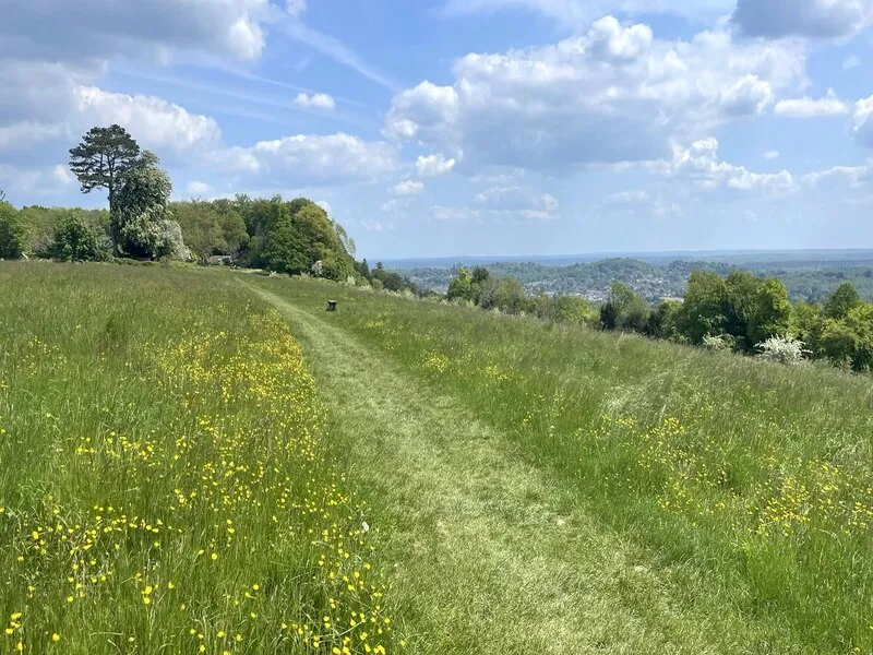Ranmore Common